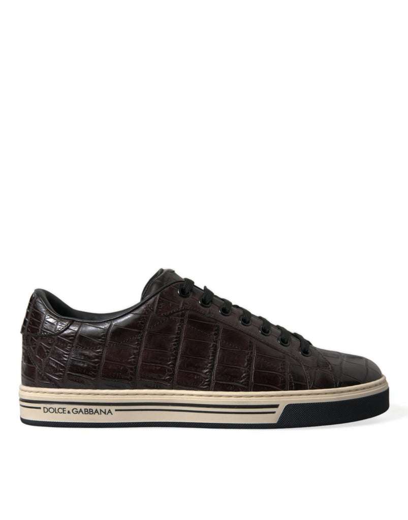 Dolce & Gabbana Elegant Exotic Leather Low-Top Sneakers Dolce & Gabbana