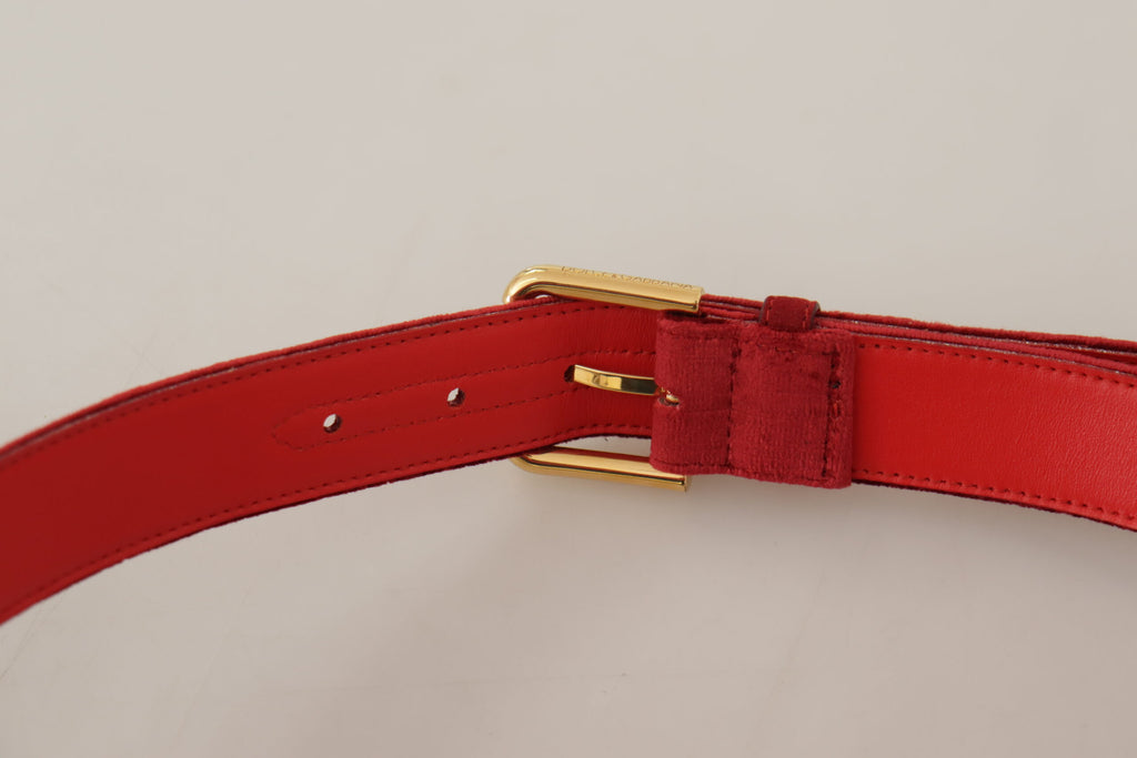 Dolce & Gabbana Red Velvet Gold Logo Engraved Metal Buckle Belt Dolce & Gabbana