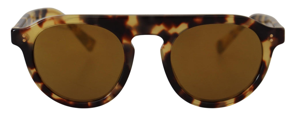 Dolce & Gabbana Brown Tortoise Oval Full Rim Shades DG4306F Sunglasses Dolce & Gabbana