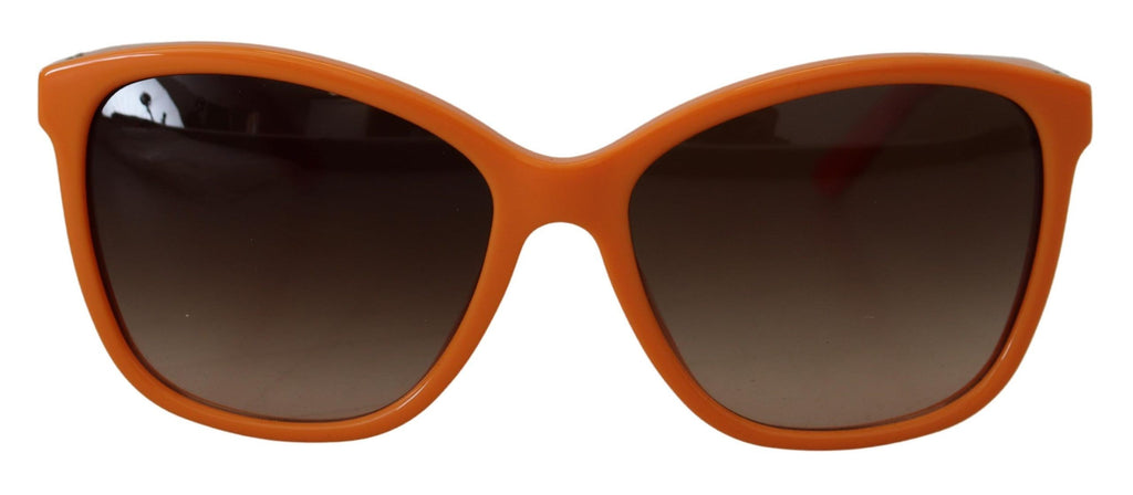 Dolce & Gabbana Orange Acetate Frame Round Shades DG4170PM Sunglasses Dolce & Gabbana
