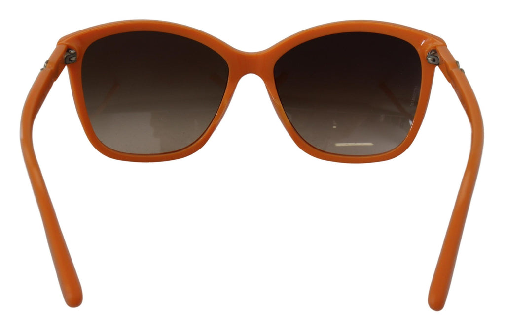 Dolce & Gabbana Orange Acetate Frame Round Shades DG4170PM Sunglasses Dolce & Gabbana