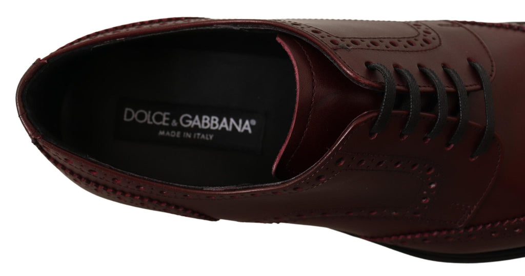 Dolce & Gabbana Bordeaux Leather Oxford Wingtip Formal Shoes Dolce & Gabbana