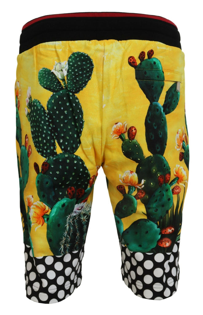 Dolce & Gabbana Multicolor Cactus Print Cotton Sweat Shorts Dolce & Gabbana