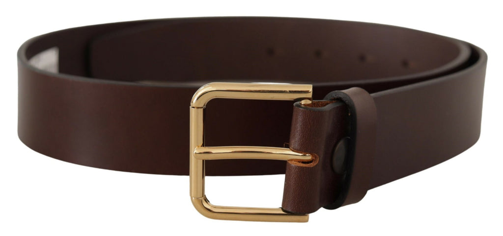 Dolce & Gabbana Brown Plain Calf Leather Gold Tone Buckle Belt Dolce & Gabbana