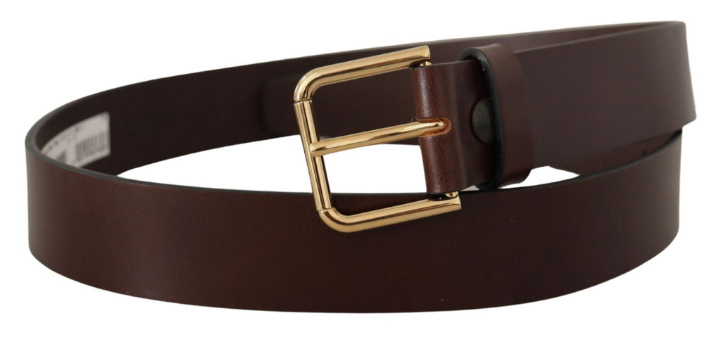 Dolce & Gabbana Brown Plain Calf Leather Gold Tone Buckle Belt Dolce & Gabbana