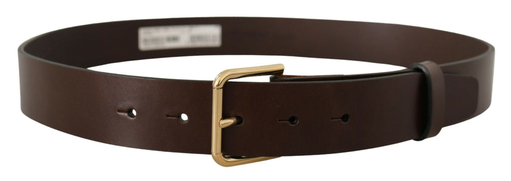 Dolce & Gabbana Brown Plain Calf Leather Gold Tone Buckle Belt Dolce & Gabbana