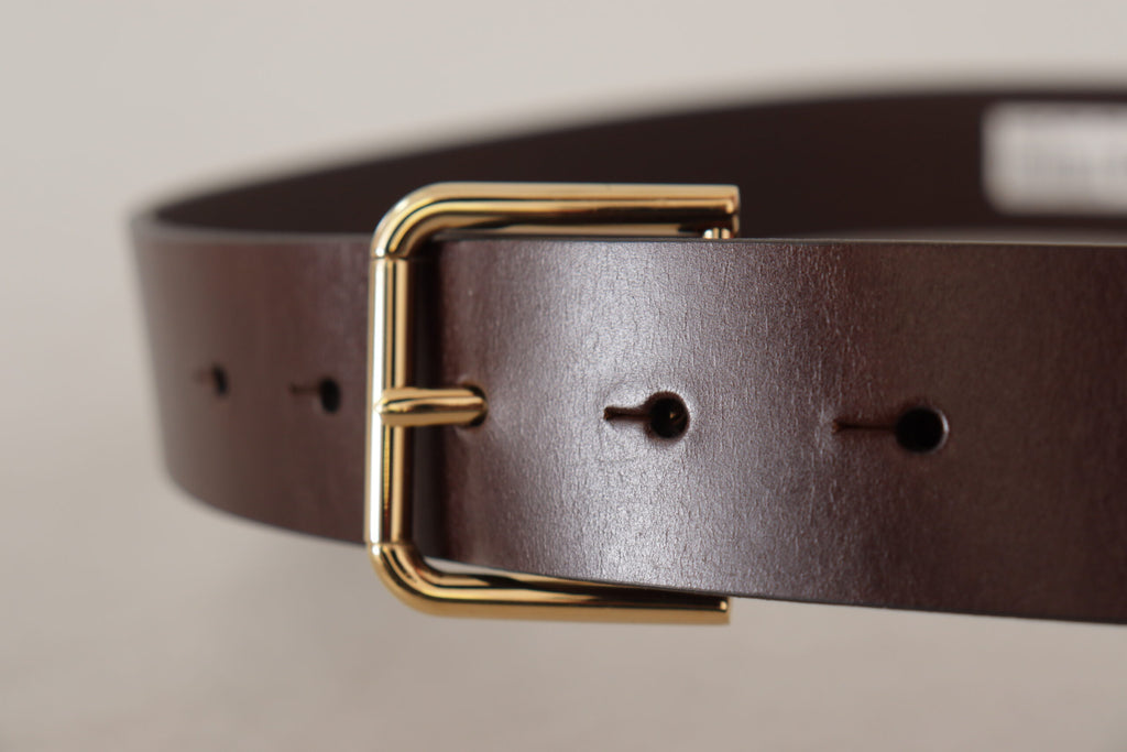 Dolce & Gabbana Brown Plain Calf Leather Gold Tone Buckle Belt Dolce & Gabbana