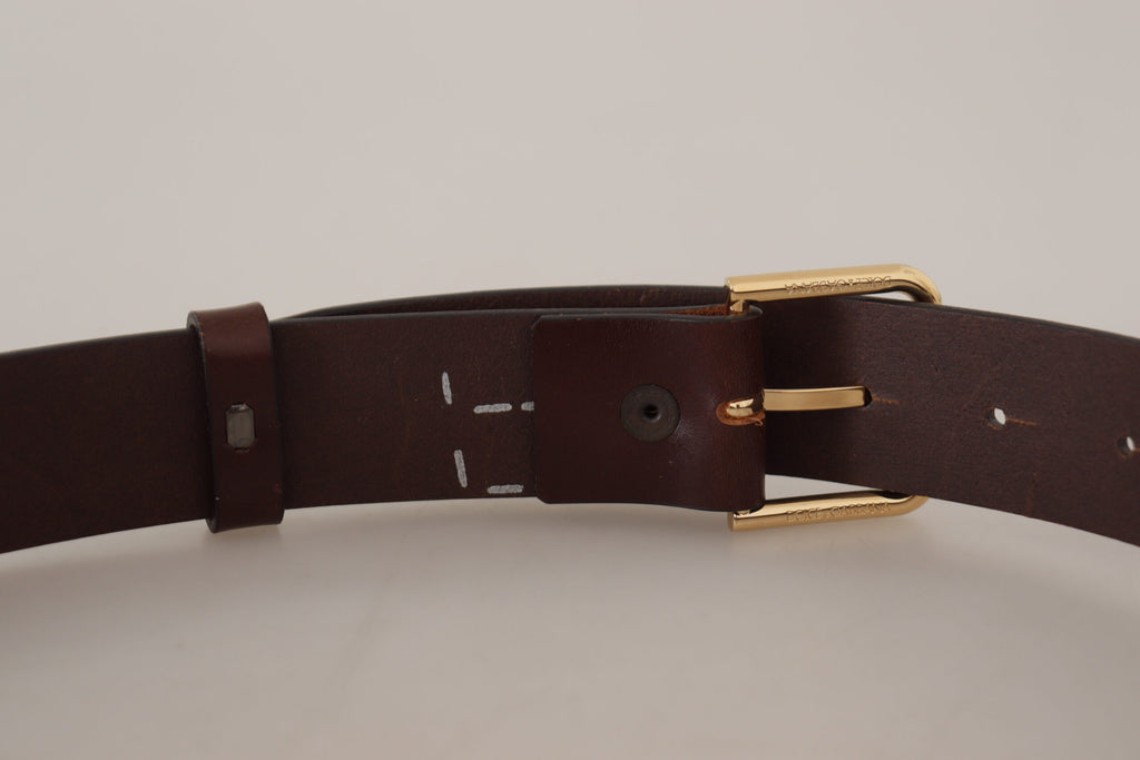 Dolce & Gabbana Brown Plain Calf Leather Gold Tone Buckle Belt Dolce & Gabbana