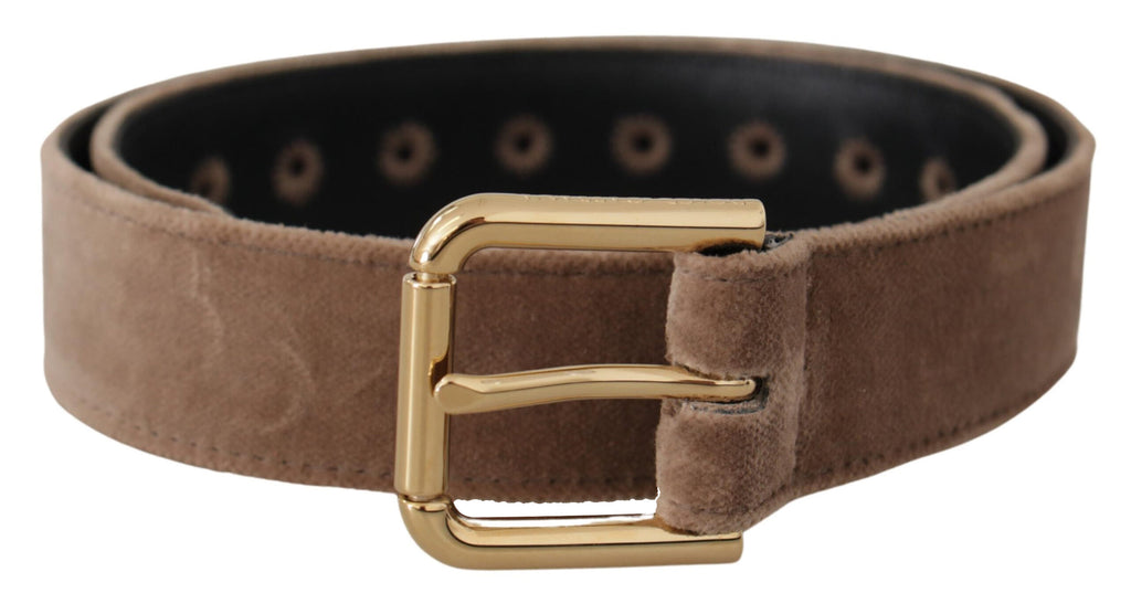 Dolce & Gabbana Light Brown Velvet Gold Tone Logo Metal Buckle Belt - Luxe & Glitz