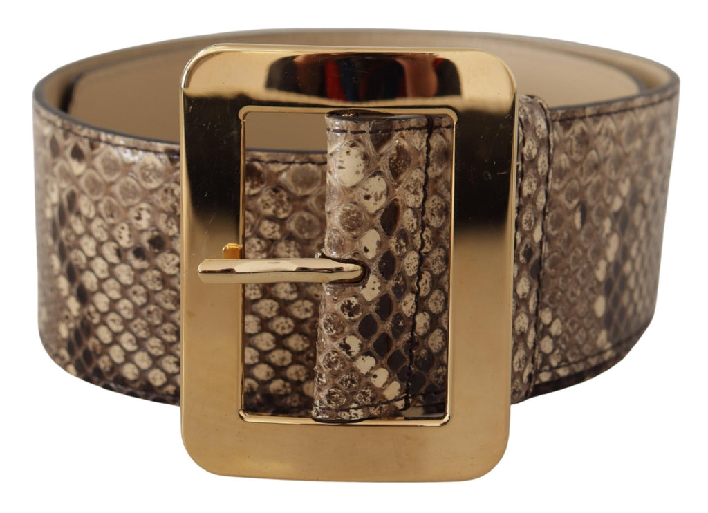 Dolce & Gabbana Brown Exotic Wide Waist Leather Gold Metal Buckle Belt Dolce & Gabbana