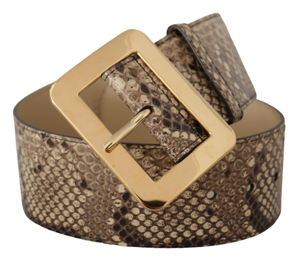 Dolce & Gabbana Brown Exotic Wide Waist Leather Gold Metal Buckle Belt Dolce & Gabbana