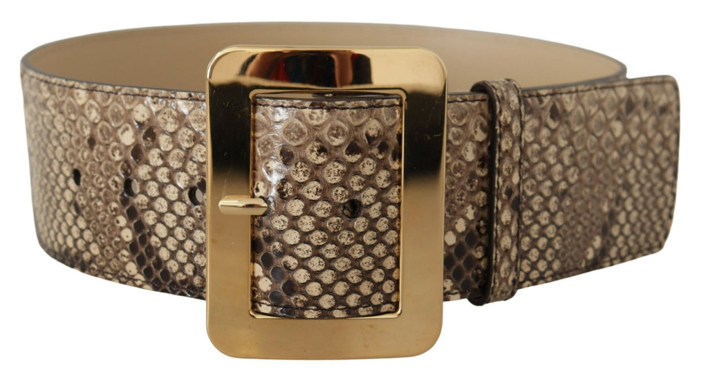 Dolce & Gabbana Brown Exotic Wide Waist Leather Gold Metal Buckle Belt Dolce & Gabbana