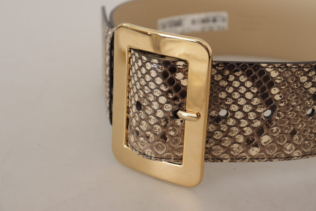 Dolce & Gabbana Brown Exotic Wide Waist Leather Gold Metal Buckle Belt Dolce & Gabbana