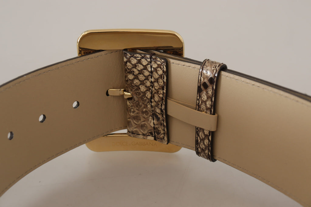 Dolce & Gabbana Brown Exotic Wide Waist Leather Gold Metal Buckle Belt Dolce & Gabbana