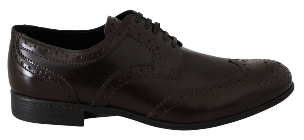 Dolce & Gabbana Brown Leather Broques Oxford Wingtip Shoes Dolce & Gabbana