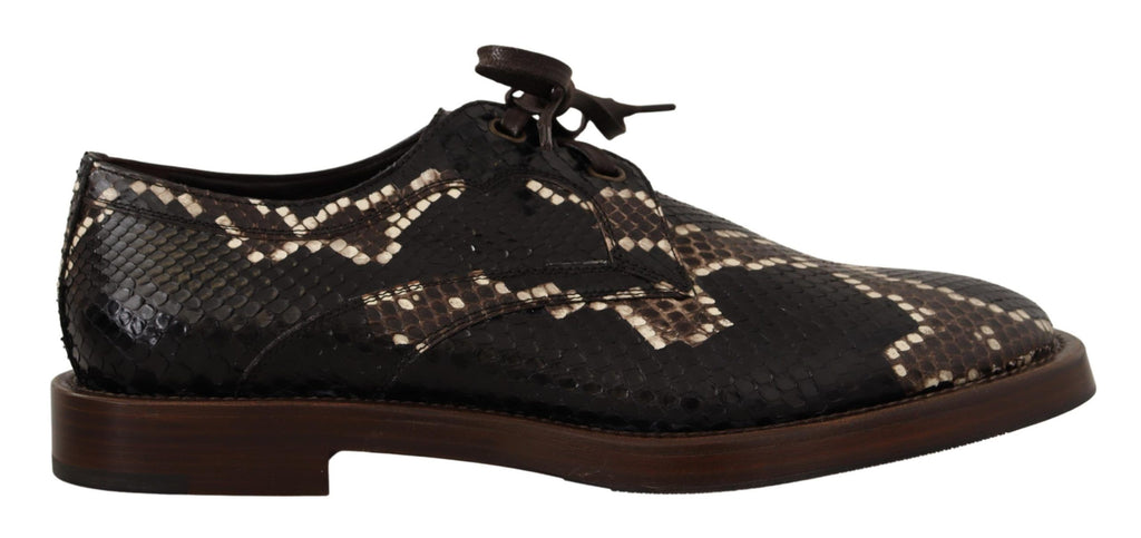 Dolce & Gabbana Brown Derby Exotic Leather Men Shoes Dolce & Gabbana