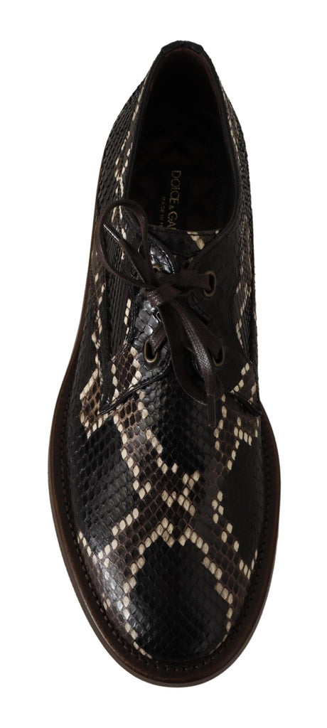 Dolce & Gabbana Brown Derby Exotic Leather Men Shoes Dolce & Gabbana