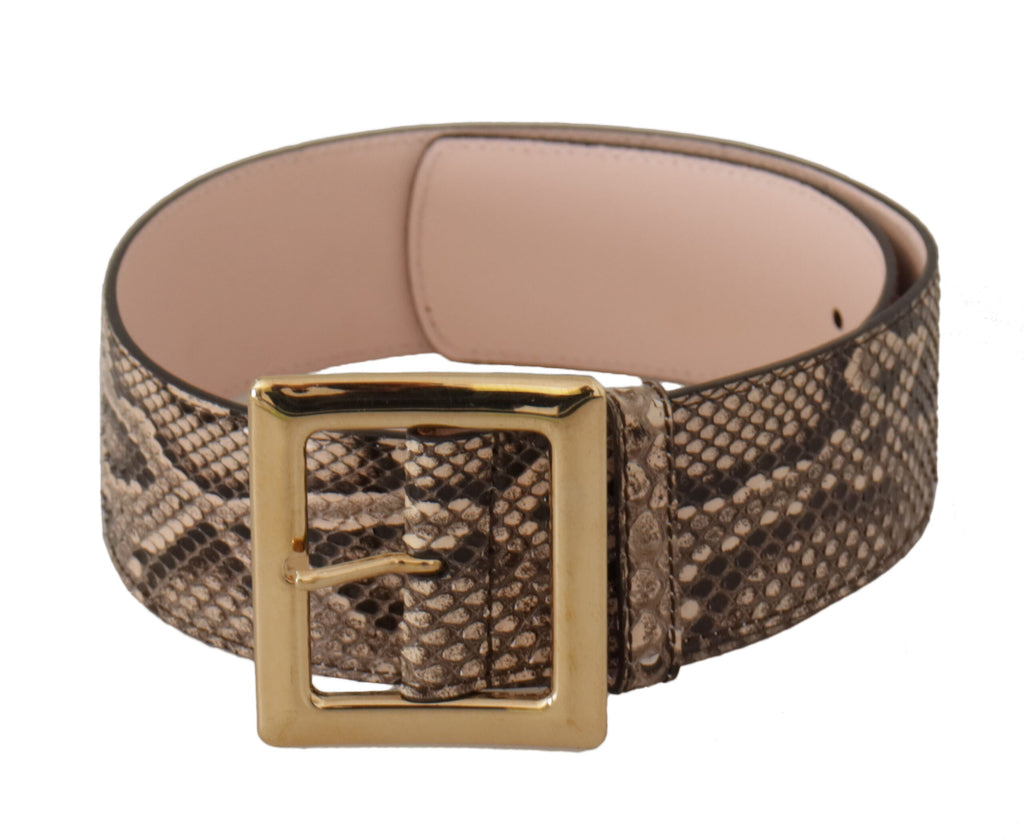 Dolce & Gabbana Beige Exotic Leather Wide Gold Metal Buckle Belt - Luxe & Glitz