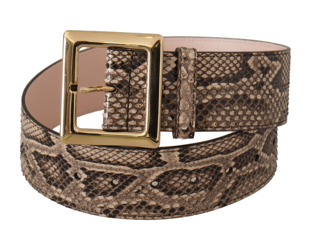 Dolce & Gabbana Beige Exotic Leather Wide Gold Metal Buckle Belt - Luxe & Glitz