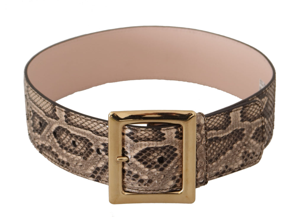 Dolce & Gabbana Beige Exotic Leather Wide Gold Metal Buckle Belt - Luxe & Glitz