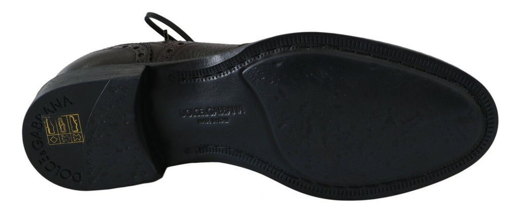 Dolce & Gabbana Brown Leather Wingtip Derby Formal Shoes Dolce & Gabbana