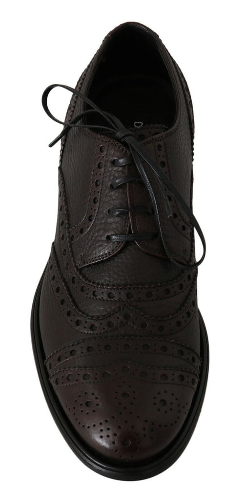 Dolce & Gabbana Brown Leather Wingtip Derby Formal Shoes Dolce & Gabbana