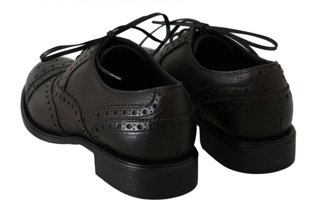 Dolce & Gabbana Brown Leather Wingtip Derby Formal Shoes Dolce & Gabbana