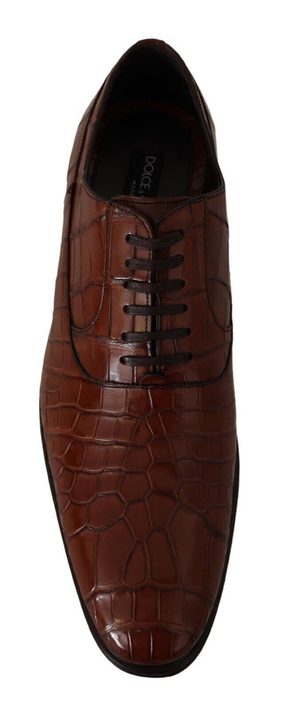 Dolce & Gabbana Brown Crocodile Leather Mens Formal Derby Shoes Dolce & Gabbana