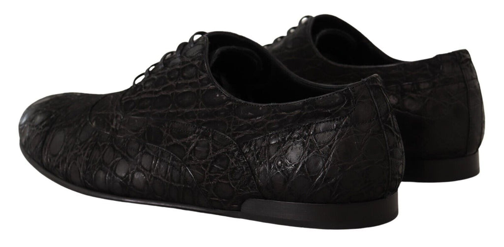 Dolce & Gabbana Black Caiman Leather Mens Oxford Shoes Dolce & Gabbana